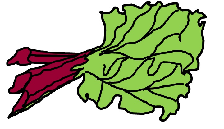 rhubarb1