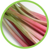 rhubarb2