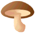 shitake1