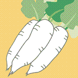 daikon